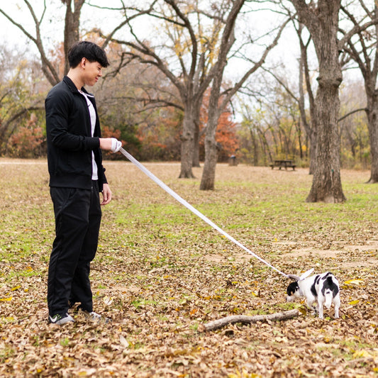 Dog Leash - 72" Collar Tag&Crew