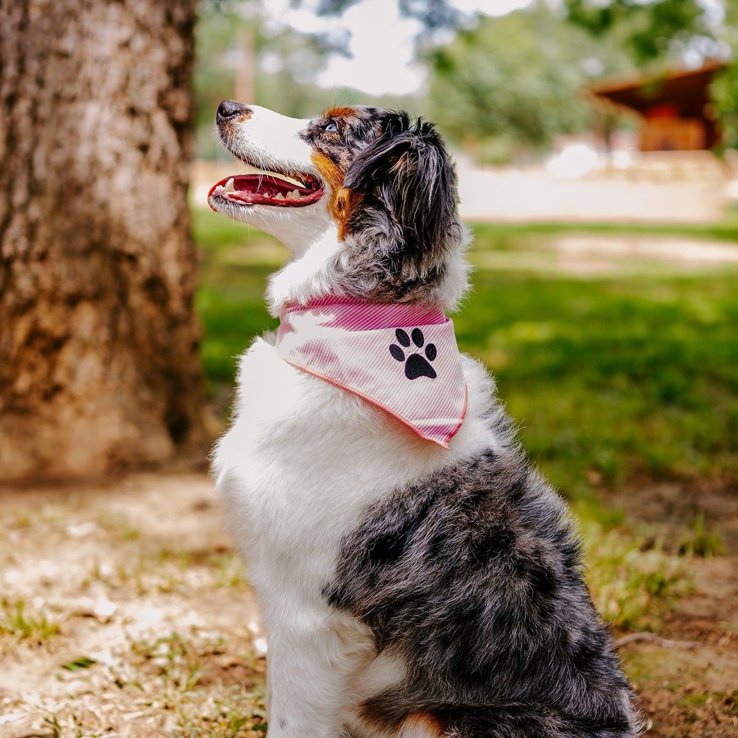 Pet Bandana Tag&Crew 