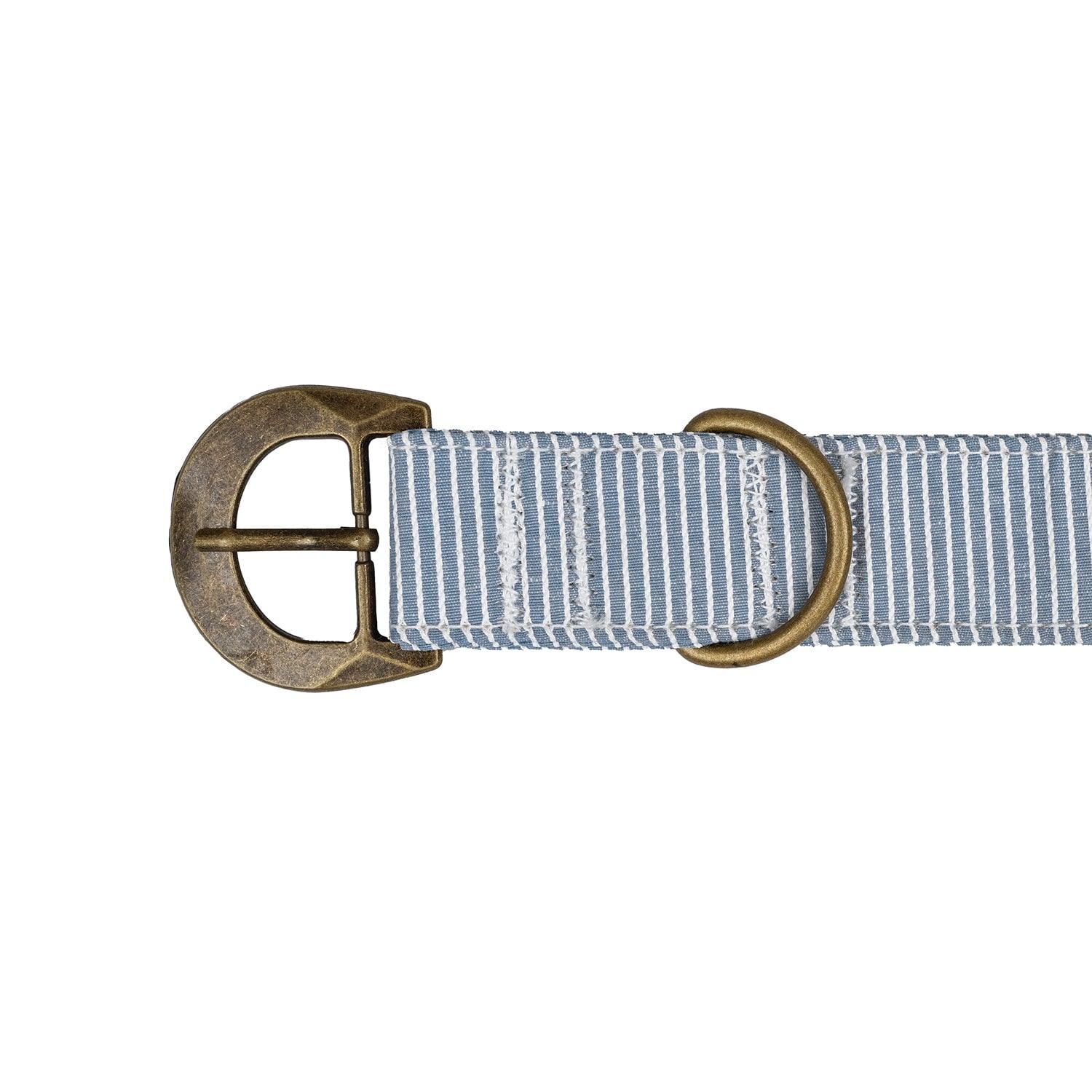 Buckle Dog Collar Accessories Tag&Crew 