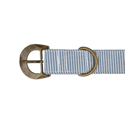Buckle Dog Collar Accessories Tag&Crew 