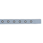 Buckle Dog Collar Accessories Tag&Crew 