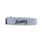 Buckle Dog Collar Accessories Tag&Crew 