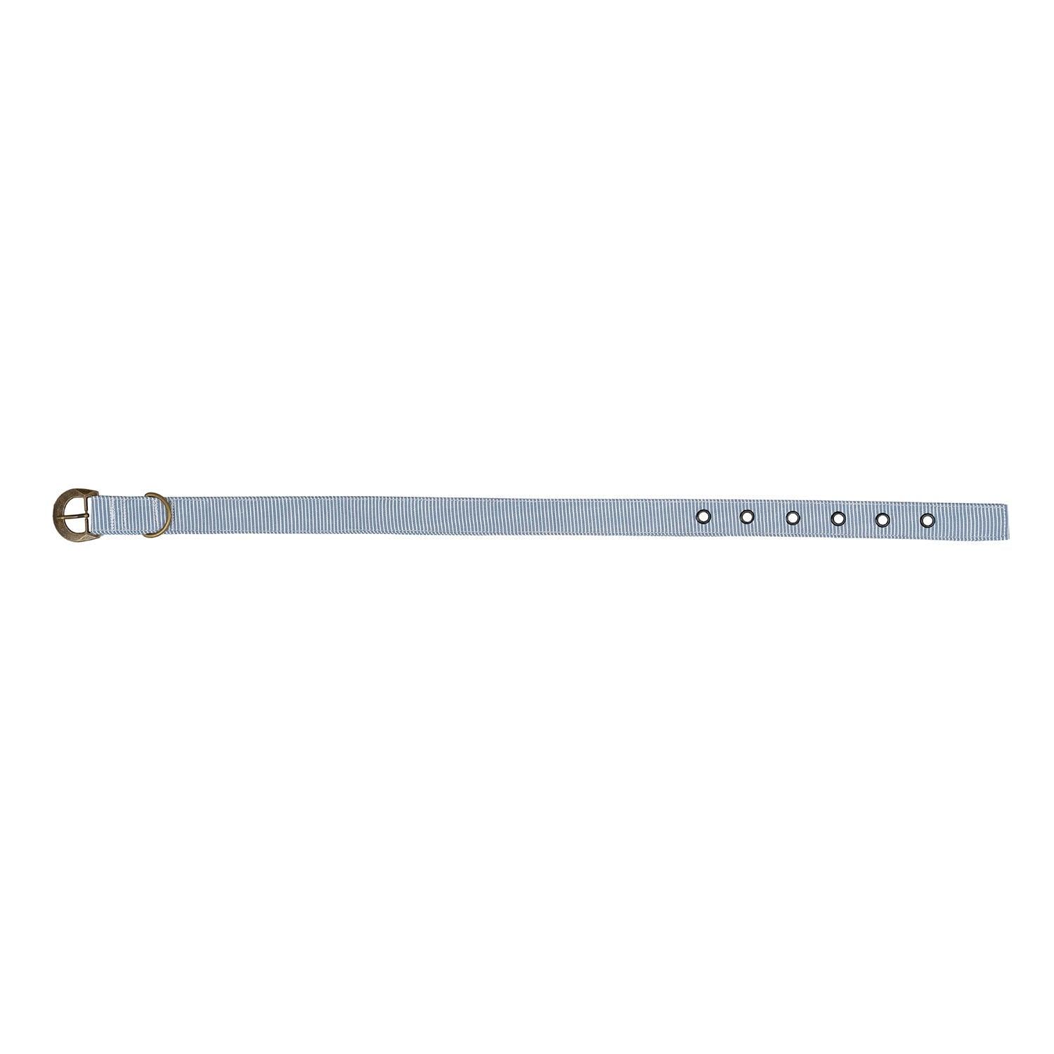 Buckle Dog Collar Accessories Tag&Crew 