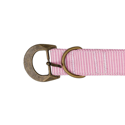 Buckle Dog Collar Accessories Tag&Crew 