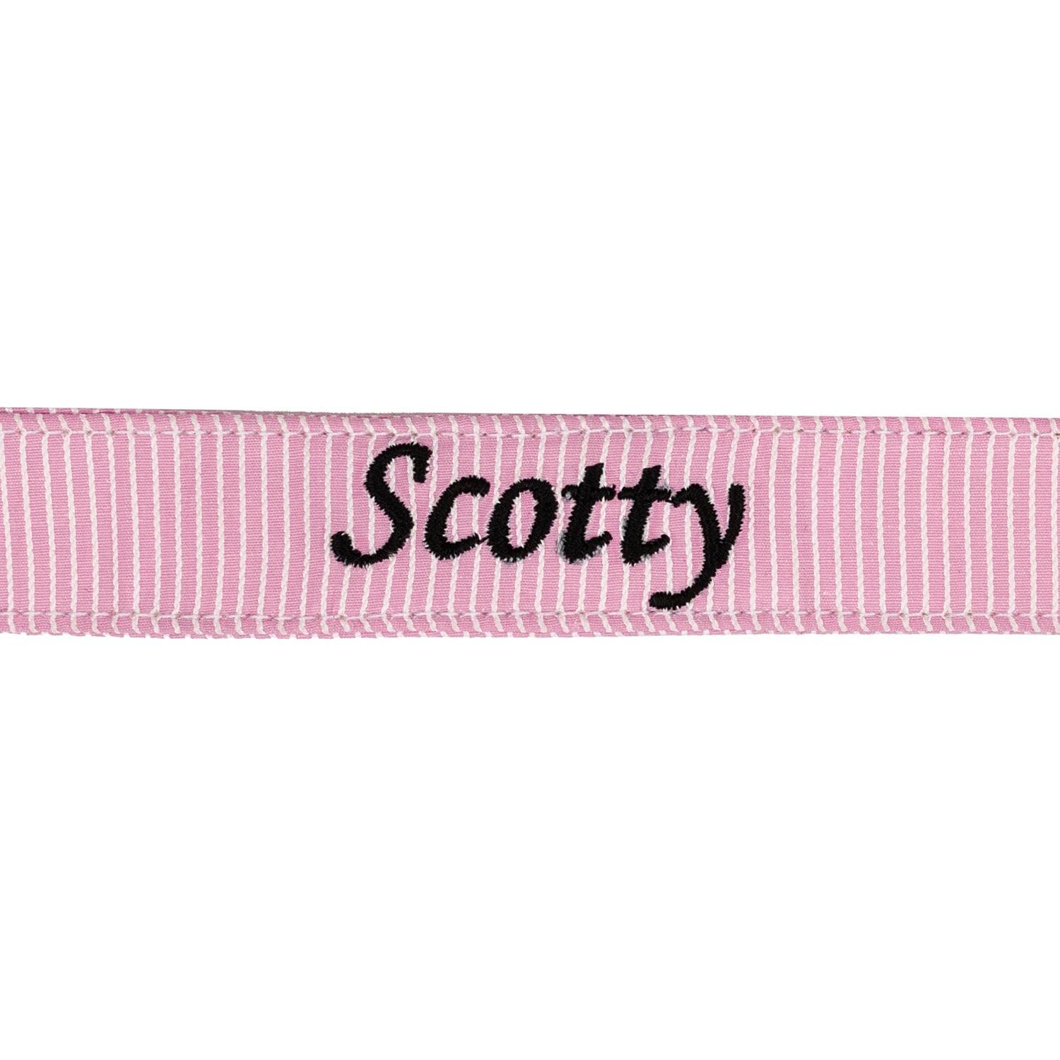 Buckle Dog Collar Accessories Tag&Crew 