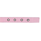 Buckle Dog Collar Accessories Tag&Crew 