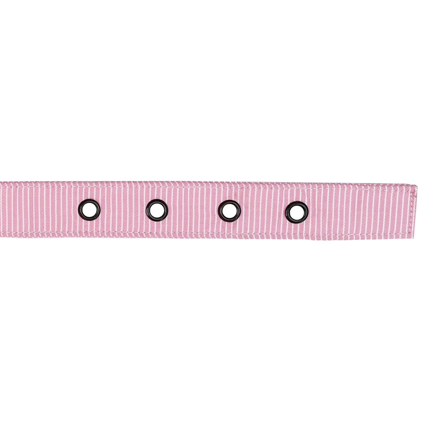 Buckle Dog Collar Accessories Tag&Crew 