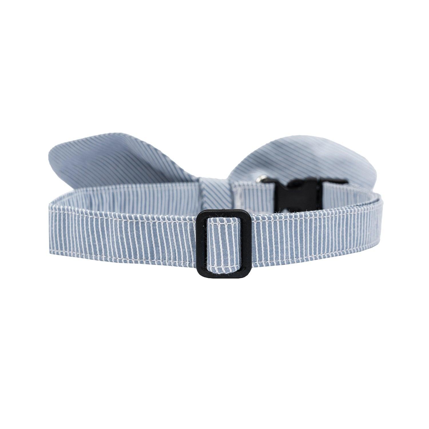 Snap-On Dog Collar Tag&Crew 