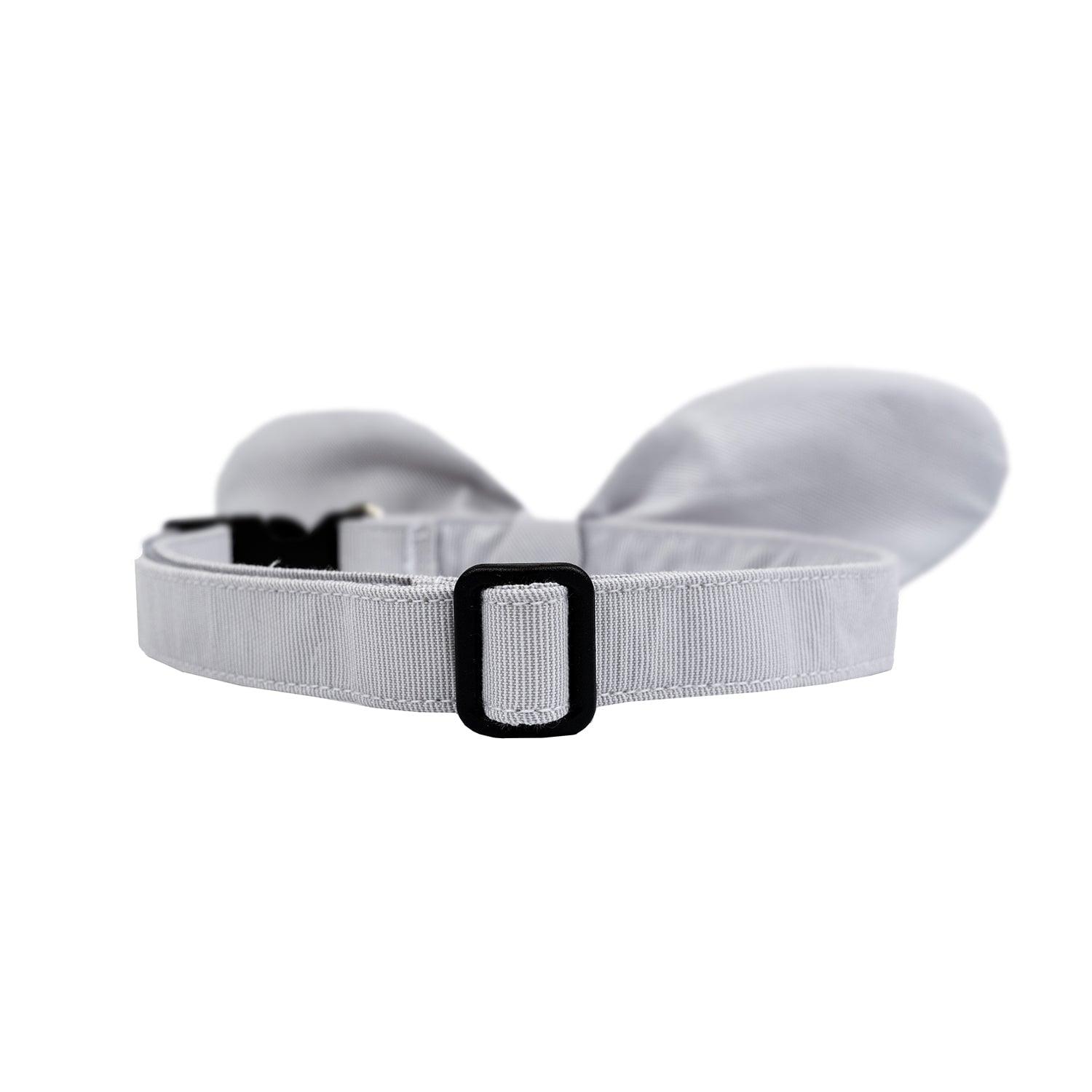 Buckle Dog Collar Accessories Tag&Crew 