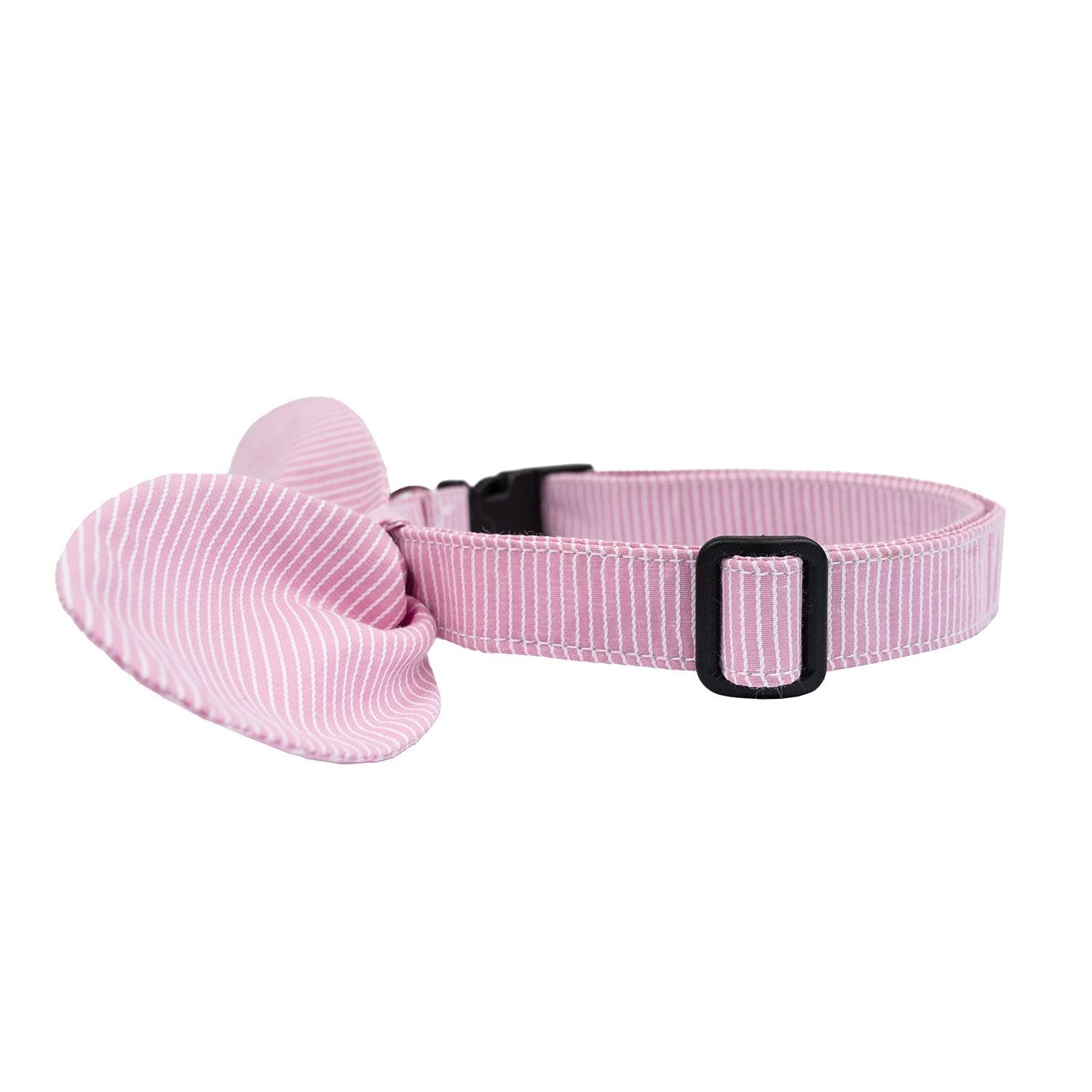 Snap-On Dog Collar Tag&Crew 