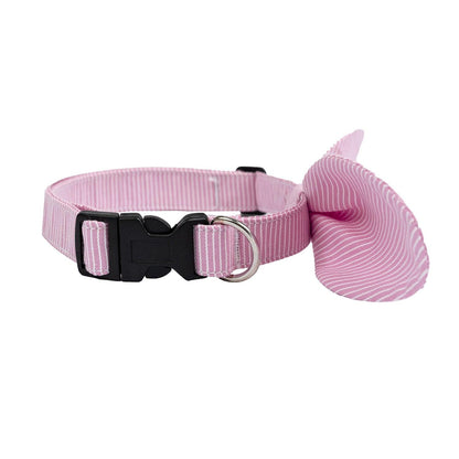 Snap-On Dog Collar Tag&Crew 