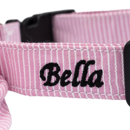 Snap-On Dog Collar Tag&Crew 