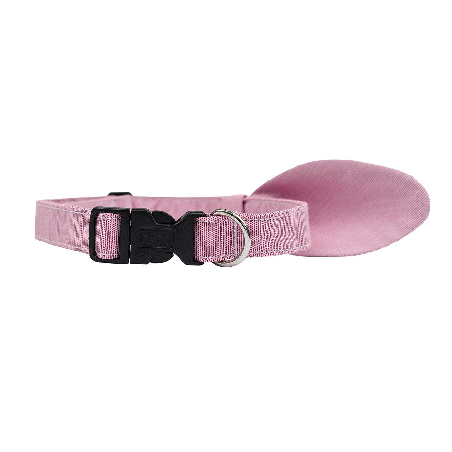 Snap-On Dog Collar Tag&Crew 