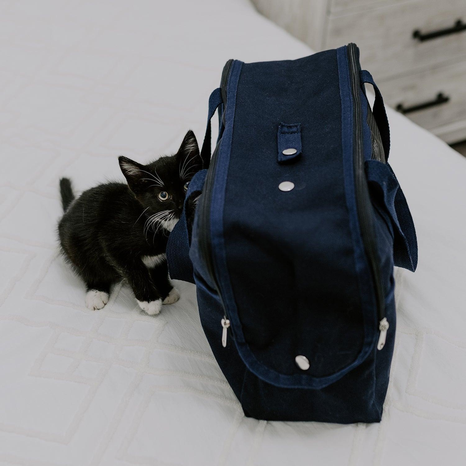 Puppy & Kitten Carrier Tag&Crew 