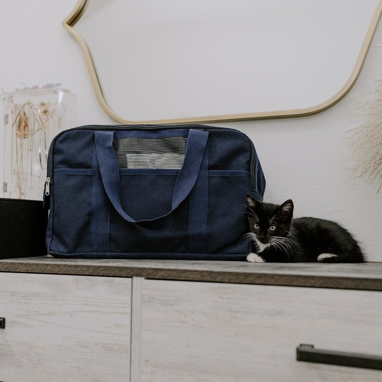 Puppy & Kitten Carrier Tag&Crew 