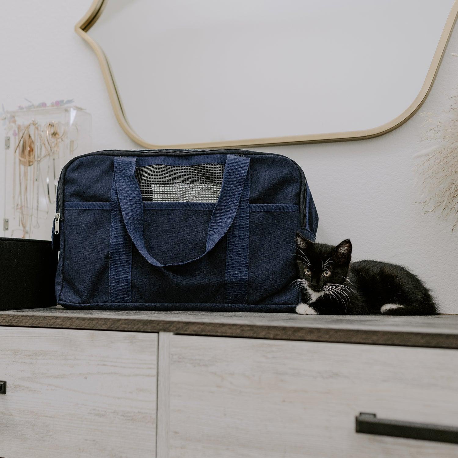 Puppy & Kitten Carrier Tag&Crew 