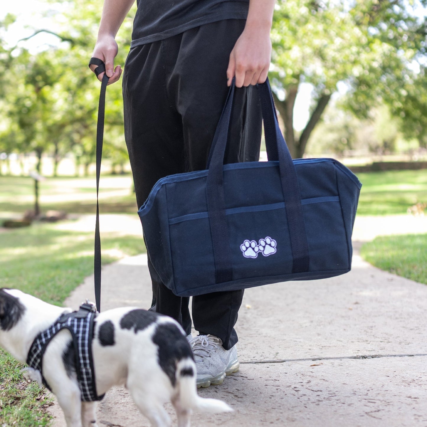 Puppy & Kitten Tote Collar Tag&Crew 