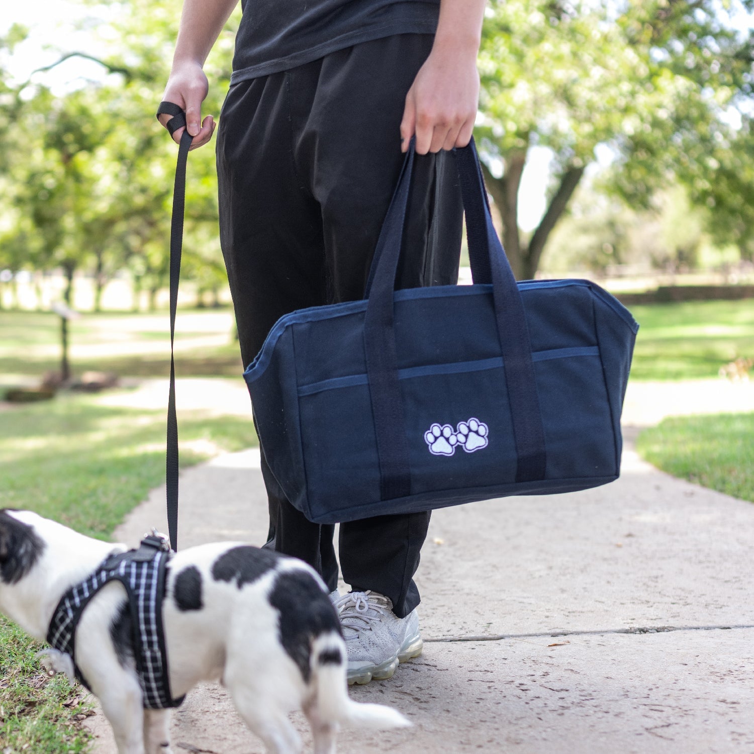 Puppy & Kitten Tote Collar Tag&Crew 