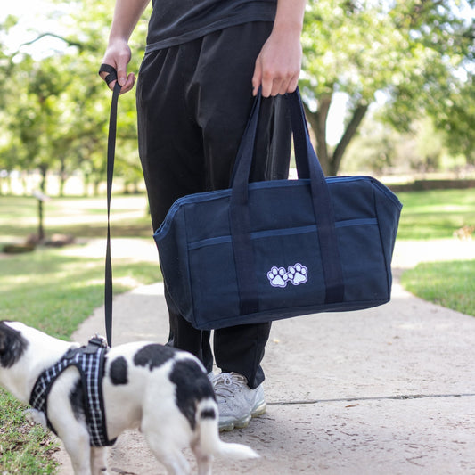 Puppy & Kitten Tote Collar Tag&Crew 