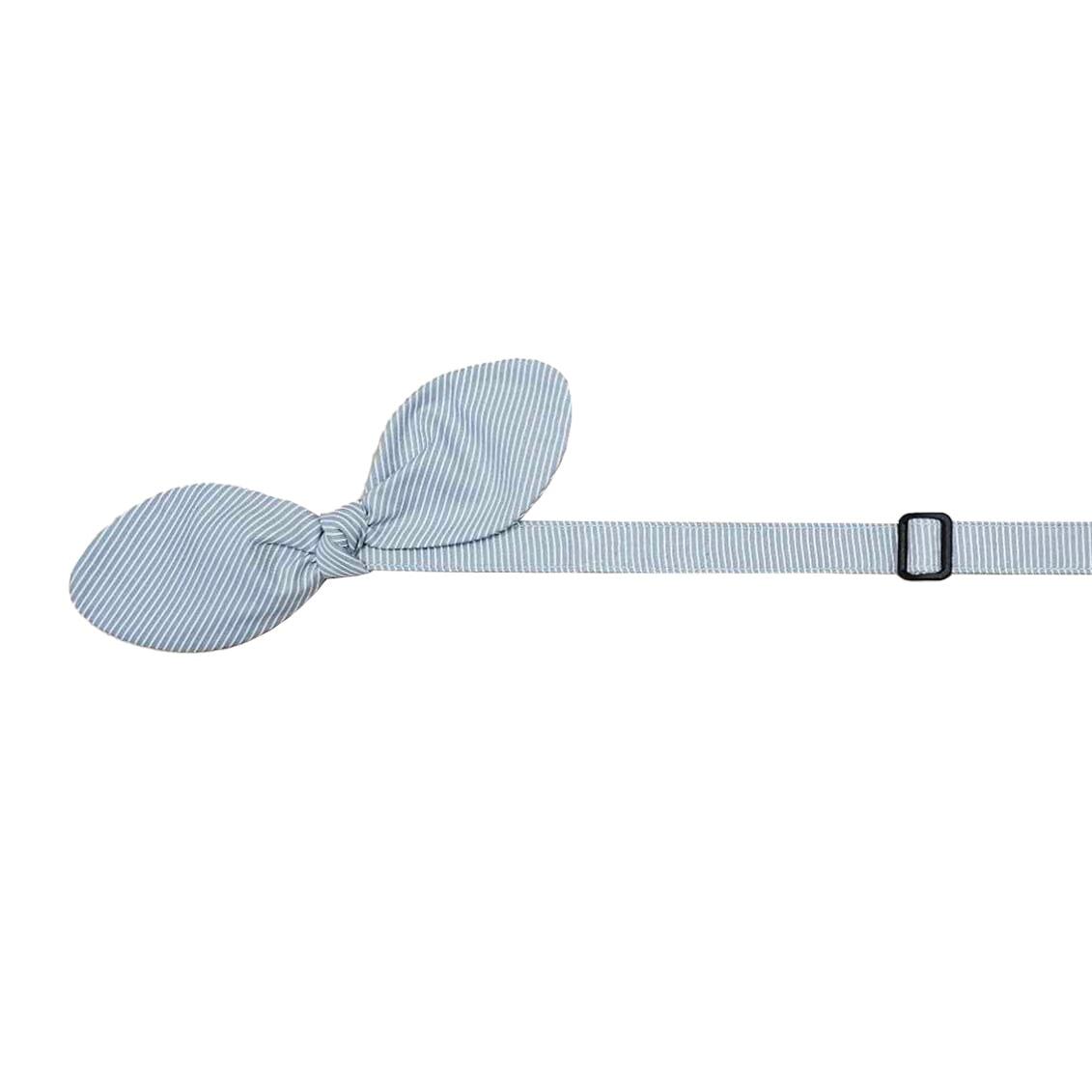 Snap-On Dog Collar Tag&Crew Mute Blue Stripe Small 