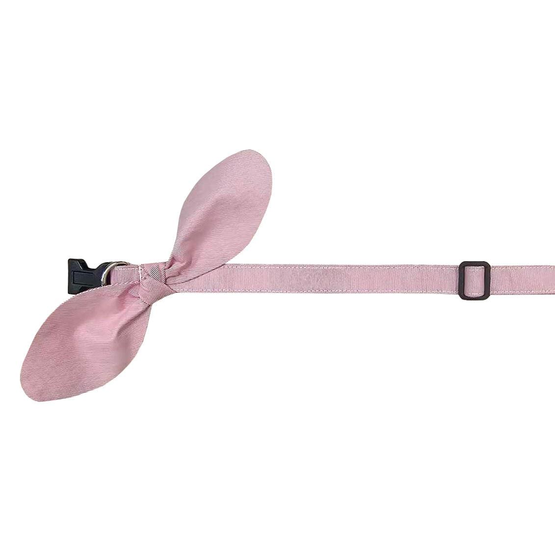 Snap-On Dog Collar Tag&Crew Pink Small Stripe Small 